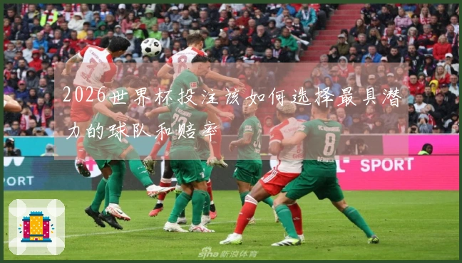 2026世界杯投注该如何选择最具潜力的球队和赔率
