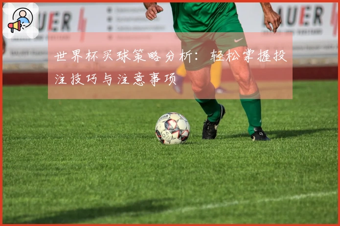 世界杯买球策略分析：轻松掌握投注技巧与注意事项