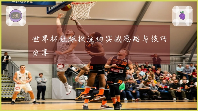 世界杯让球投注的实战思路与技巧分享