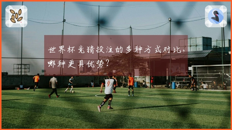 世界杯竞猜投注的多种方式对比,哪种更具优势?