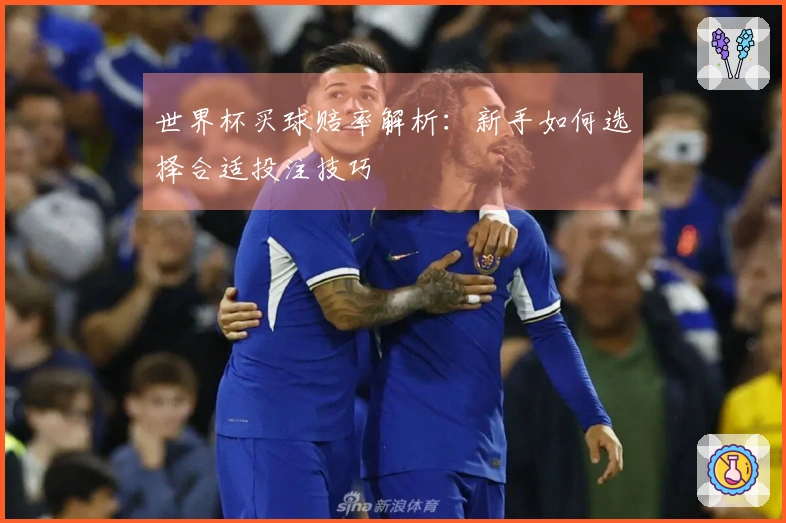 世界杯买球赔率解析：新手如何选择合适投注技巧