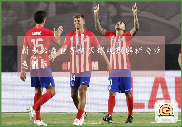 新手必看世界杯买球规则解析与注意事项