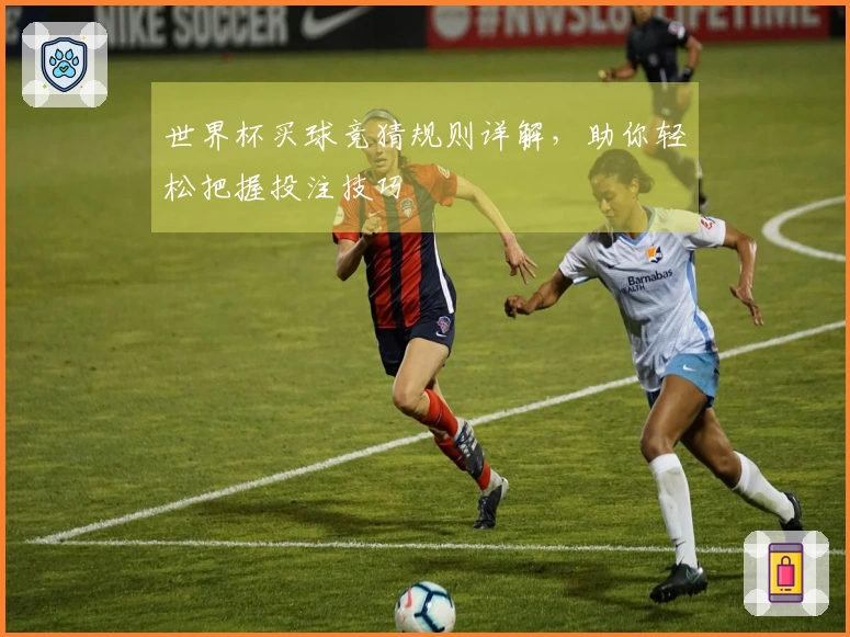 世界杯买球竞猜规则详解，助你轻松把握投注技巧