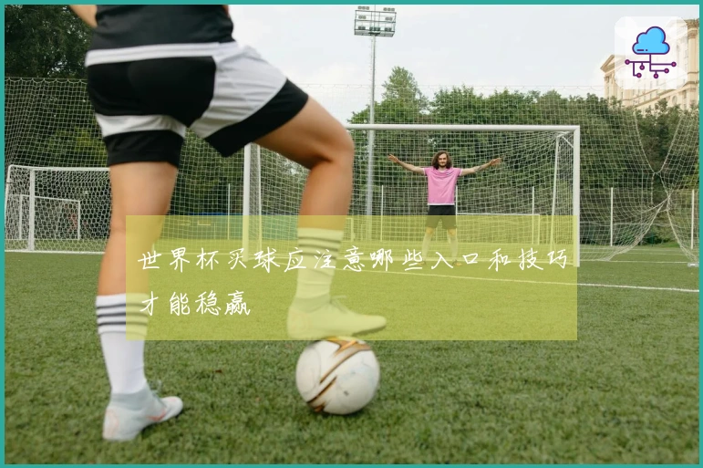 世界杯买球应注意哪些入口和技巧才能稳赢