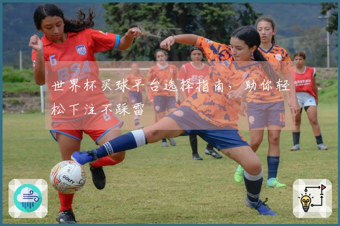 世界杯买球平台选择指南，助你轻松下注不踩雷